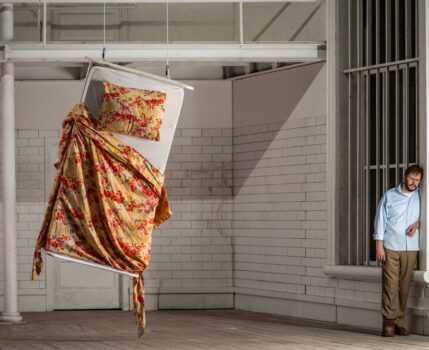 Rigoletto. A suitable case for treatment.