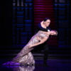THE MERRY WIDOW